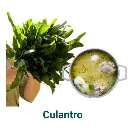 Culantro.webp