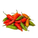 ajicriollo_fresh-1024x1024.webp