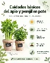 368e5980-9b4a-425b-8e4a-98f7a887de5a.webp
