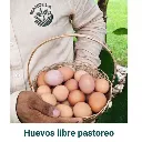 Huevos.webp