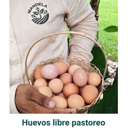 Huevos.webp