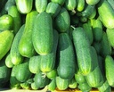 Pepino.jpg