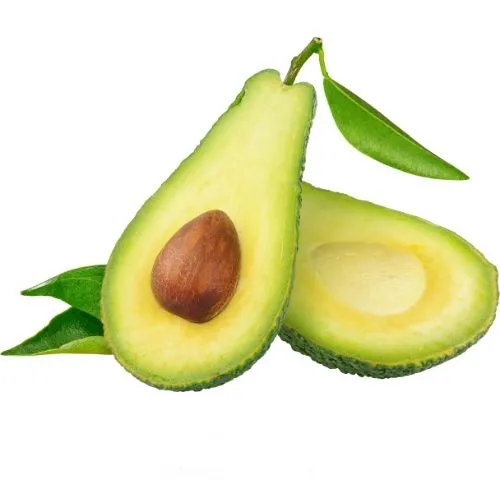 Green Avocado (Medium)