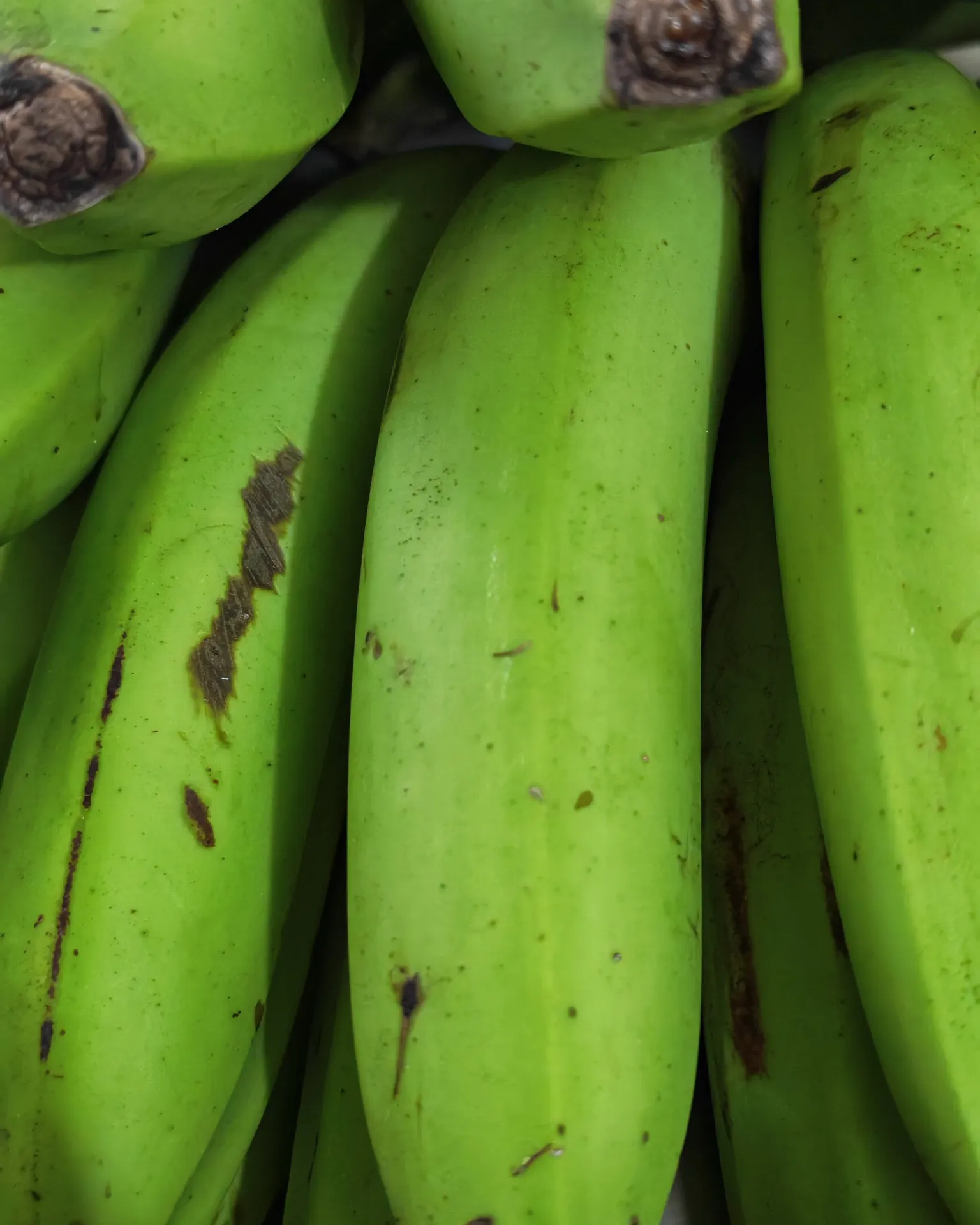 Plátano Verde Criollo (FRPM)