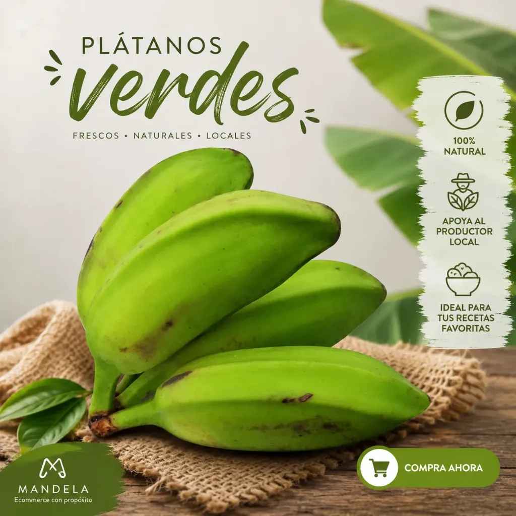 Plátano Chino Cuadrado