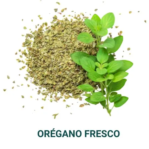 Lb Oregano