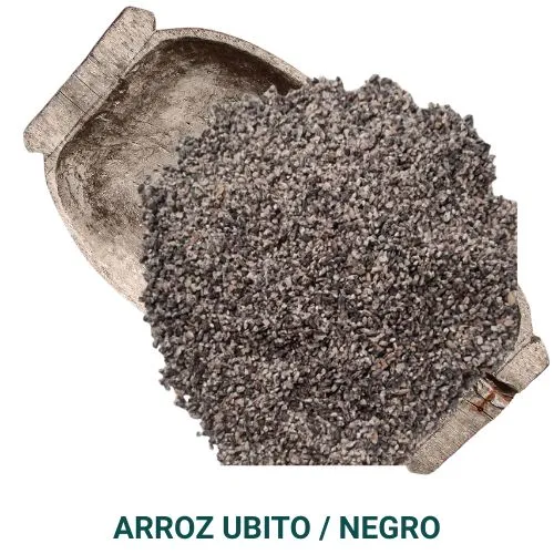 [ARR002] Arroz ubito