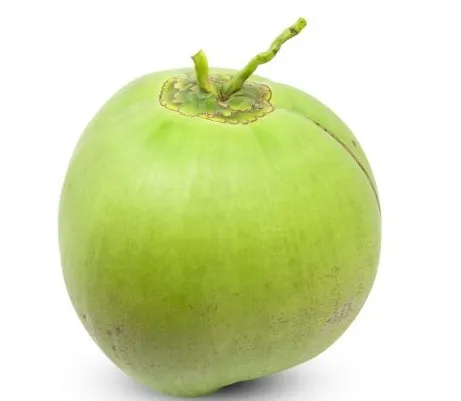 [PIP001] Pipas verdes