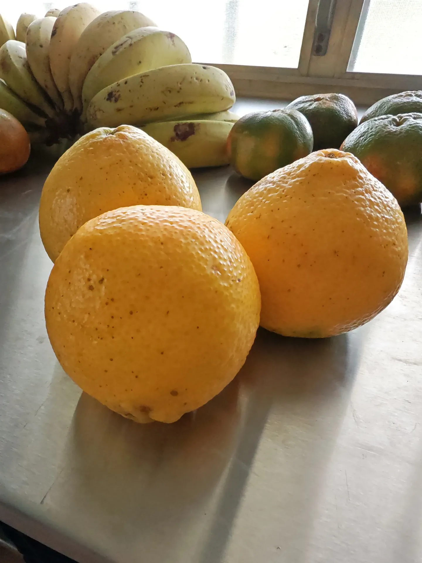 [NAR003] Naranja japonesa