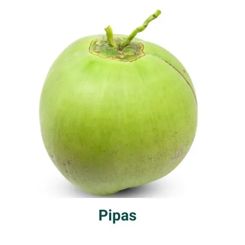 [PIP002] Pipa