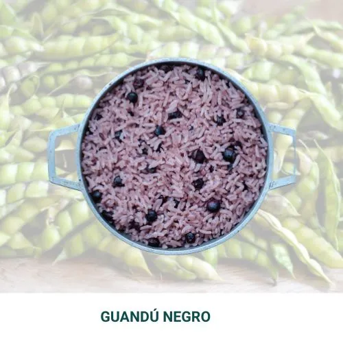 [GUA004] Guandú negro