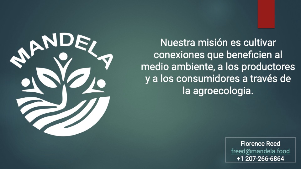 1 Mandela pitch deck español