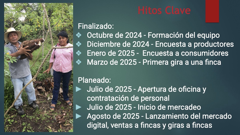 11 Mandela pitch deck español