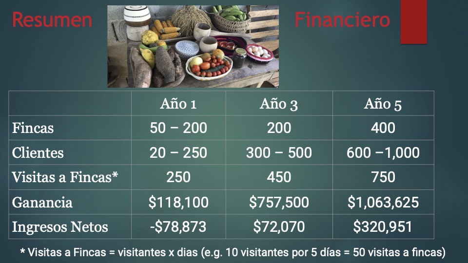 12 Mandela pitch deck español