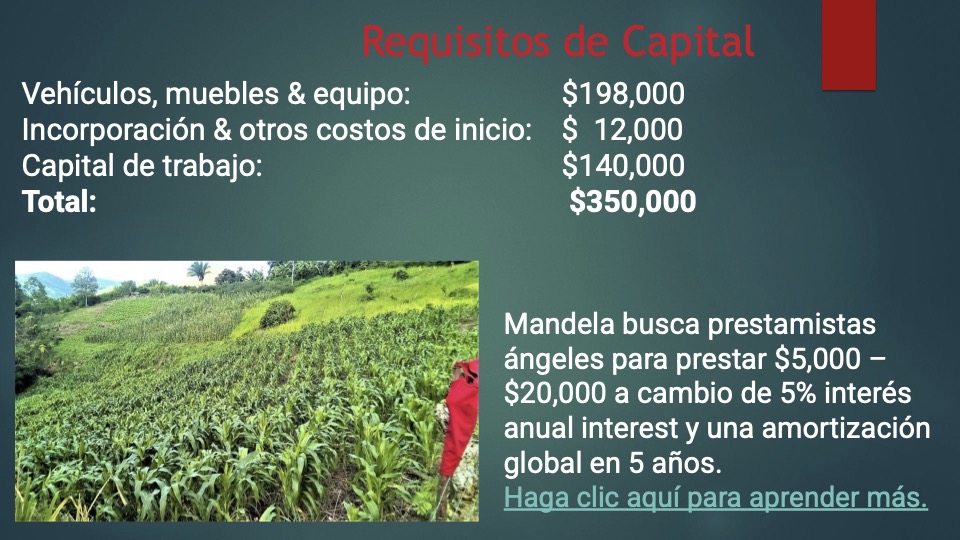 13 Mandela pitch deck español