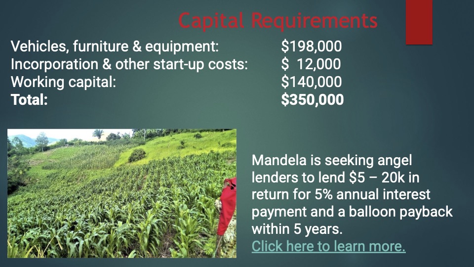 13 Mandela pitch deck