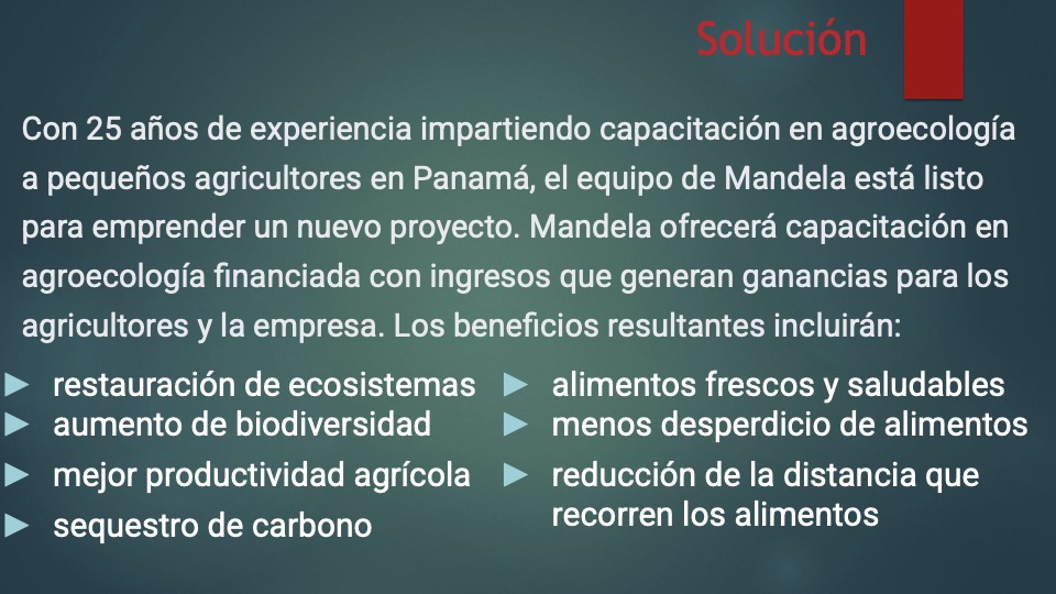 3 Mandela pitch deck español