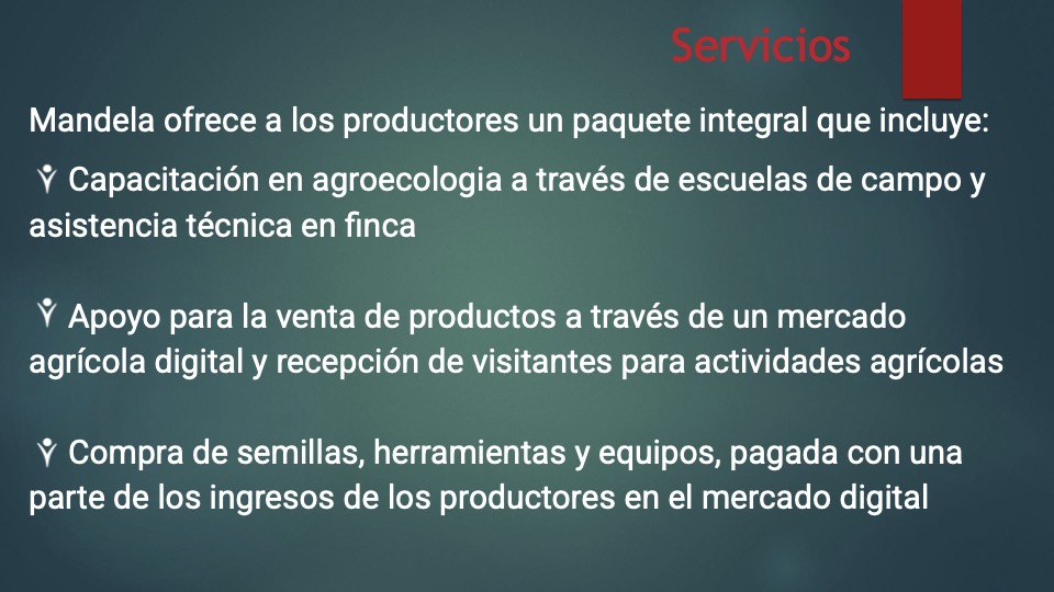 4 Mandela pitch deck español