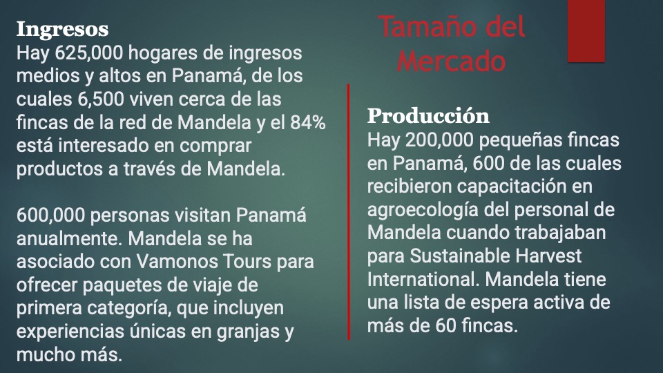 5 Mandela pitch deck español