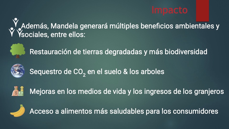 9 Mandela pitch deck español