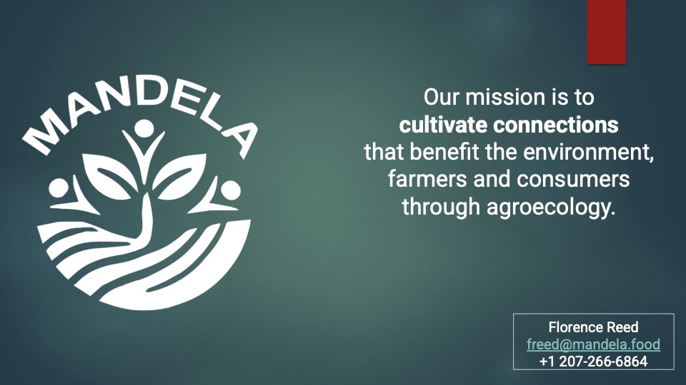 Mandela pitch deck 1