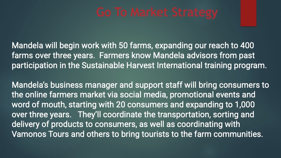 Mandela pitch deck 10