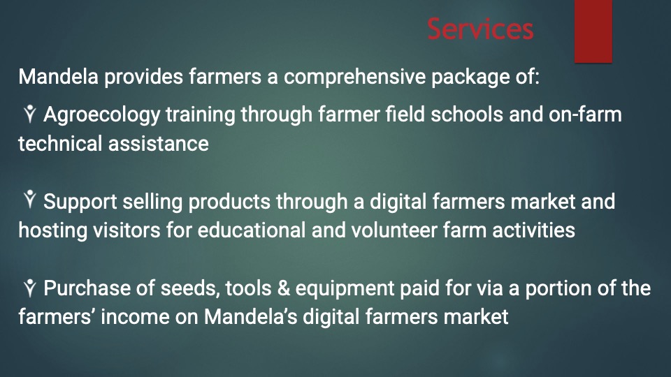 Mandela pitch deck 4