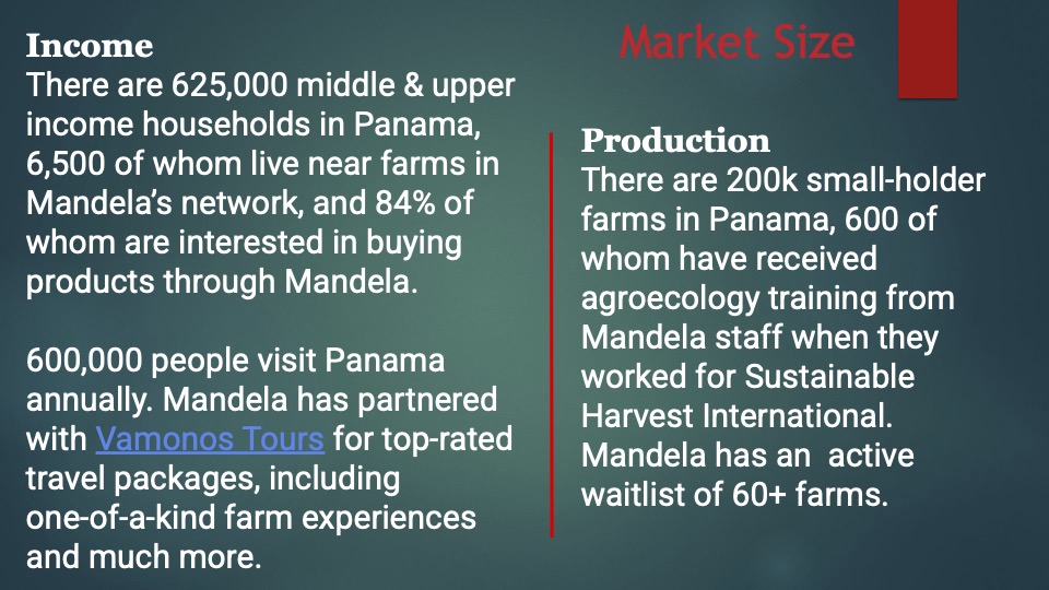 Mandela pitch deck 5