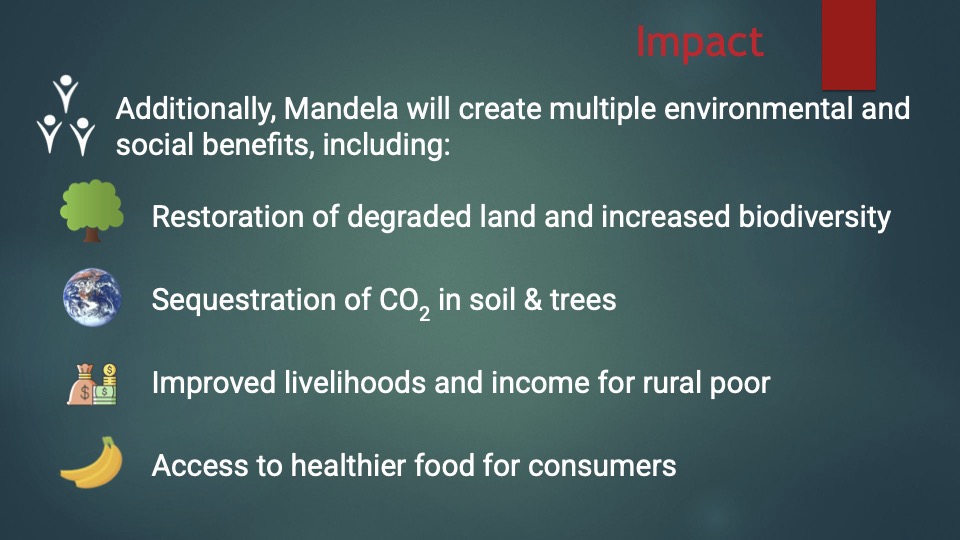 Mandela pitch deck 9