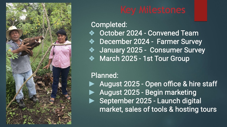 11 Mandela pitch deck